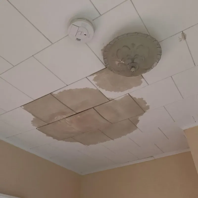 Ceiling Water Damage Repair in North Bellport, NY